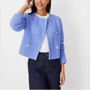 NWTGS ANN TAYLOR DOUBLE BREASTED PERIWINKLE GEO STITCH SWEATER JACKET SZ L $159